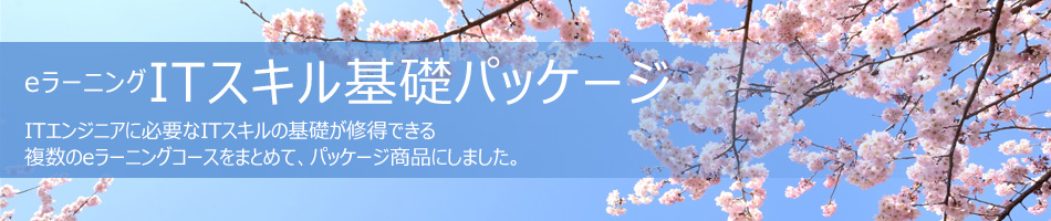 eラーニング ITスキル基礎パッケージ ITエンジニアに必要なITスキルの基礎が修得できる複数のeラーニングコースをまとめて、パッケージ商品にしました