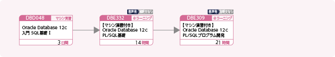 Oracleを使用してPL/SQLによるアプリケーションを開発する方のコースフロー