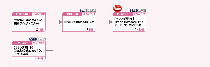 Oracle を使用してデータ分析をする方のコースフロー