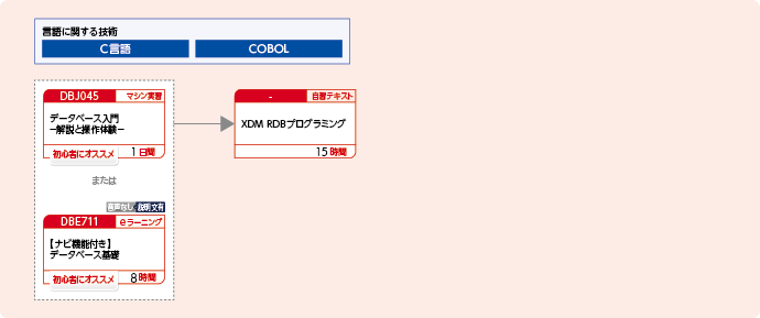 XDMリレーショナルデータベースを使用してアプリケーションプログラムを開発する方のコースフロー
