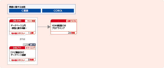 XDM構造型データベースを使用してアプリケーションプログラムを開発する方のコースフロー