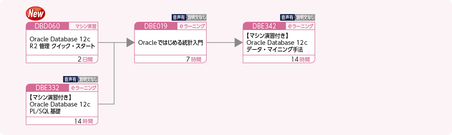 Oracle を使用してデータ分析をする方のコースフロー