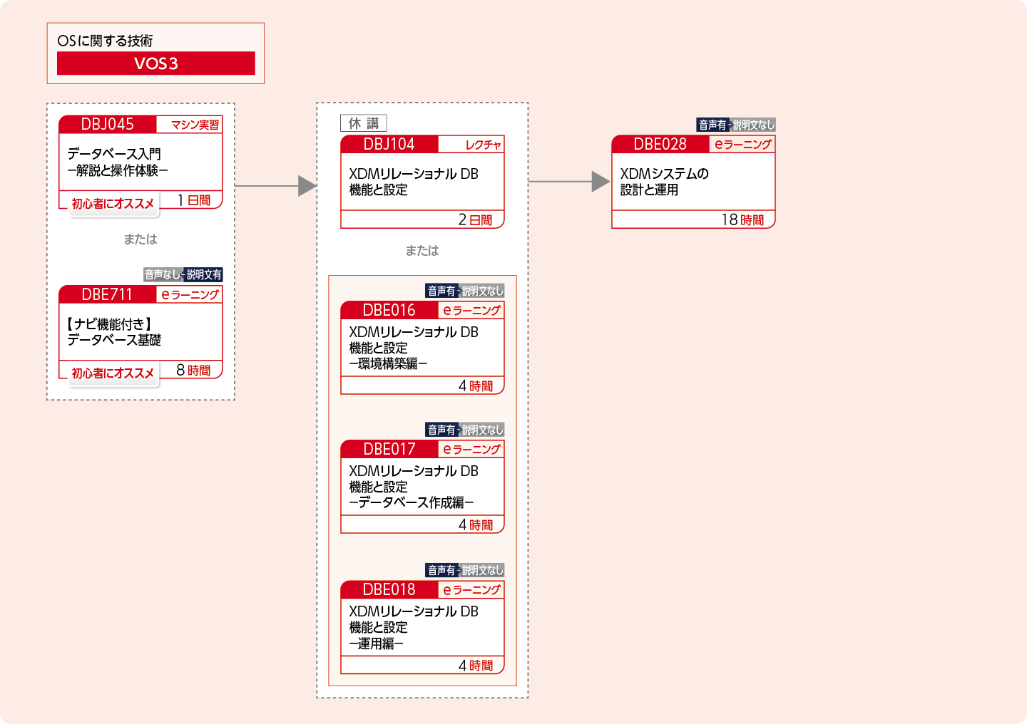 XDMを使用してリレーショナルデータベースを構築・運用・設計する方のコースフロー