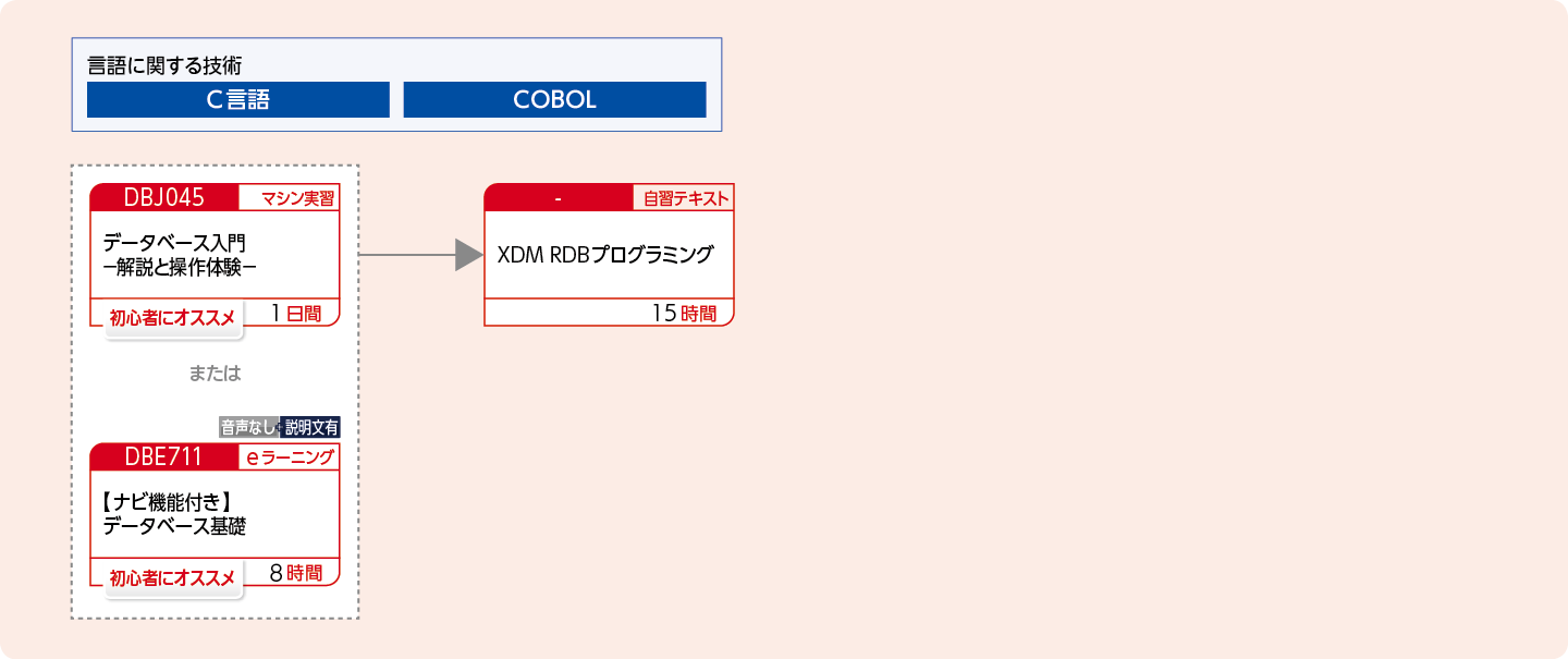 XDMリレーショナルデータベースを使用してアプリケーションプログラムを開発する方のコースフロー