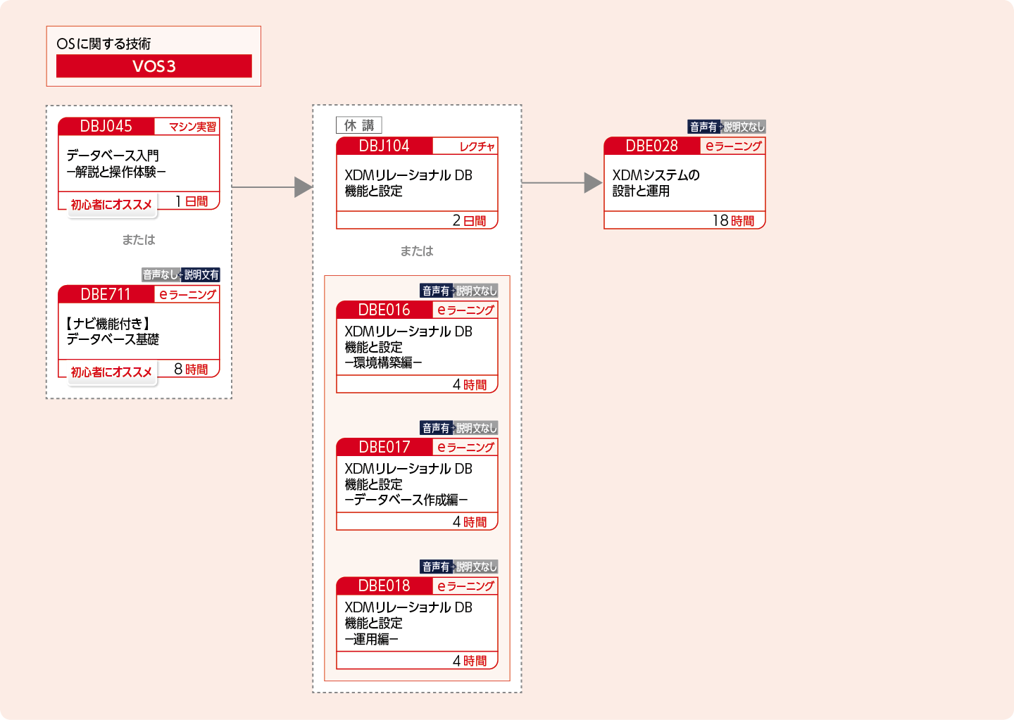 XDMを使用してリレーショナルデータベースを構築・運用・設計する方のコースフロー