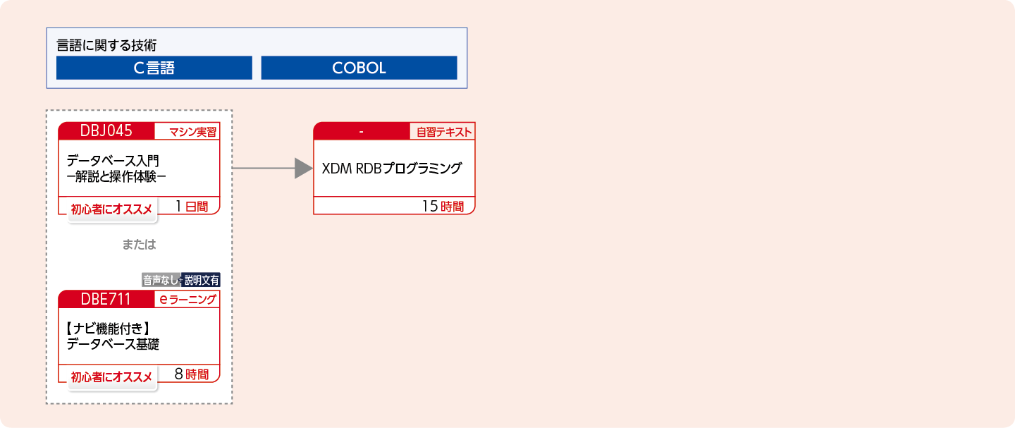 XDMリレーショナルデータベースを使用してアプリケーションプログラムを開発する方のコースフロー