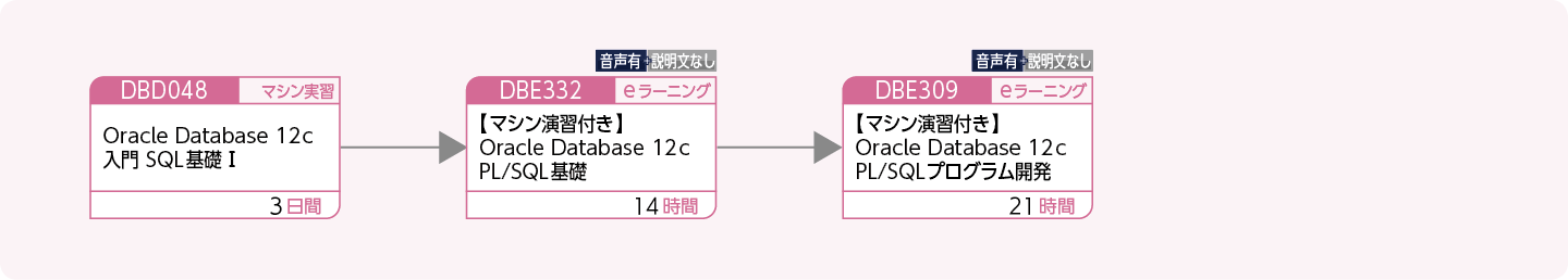 Oracleを使用してPL/SQLによるアプリケーションを開発する方のコースフロー