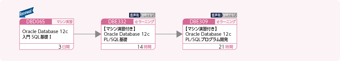 Oracleを使用してPL/SQLによるアプリケーションを開発する方のコースフロー