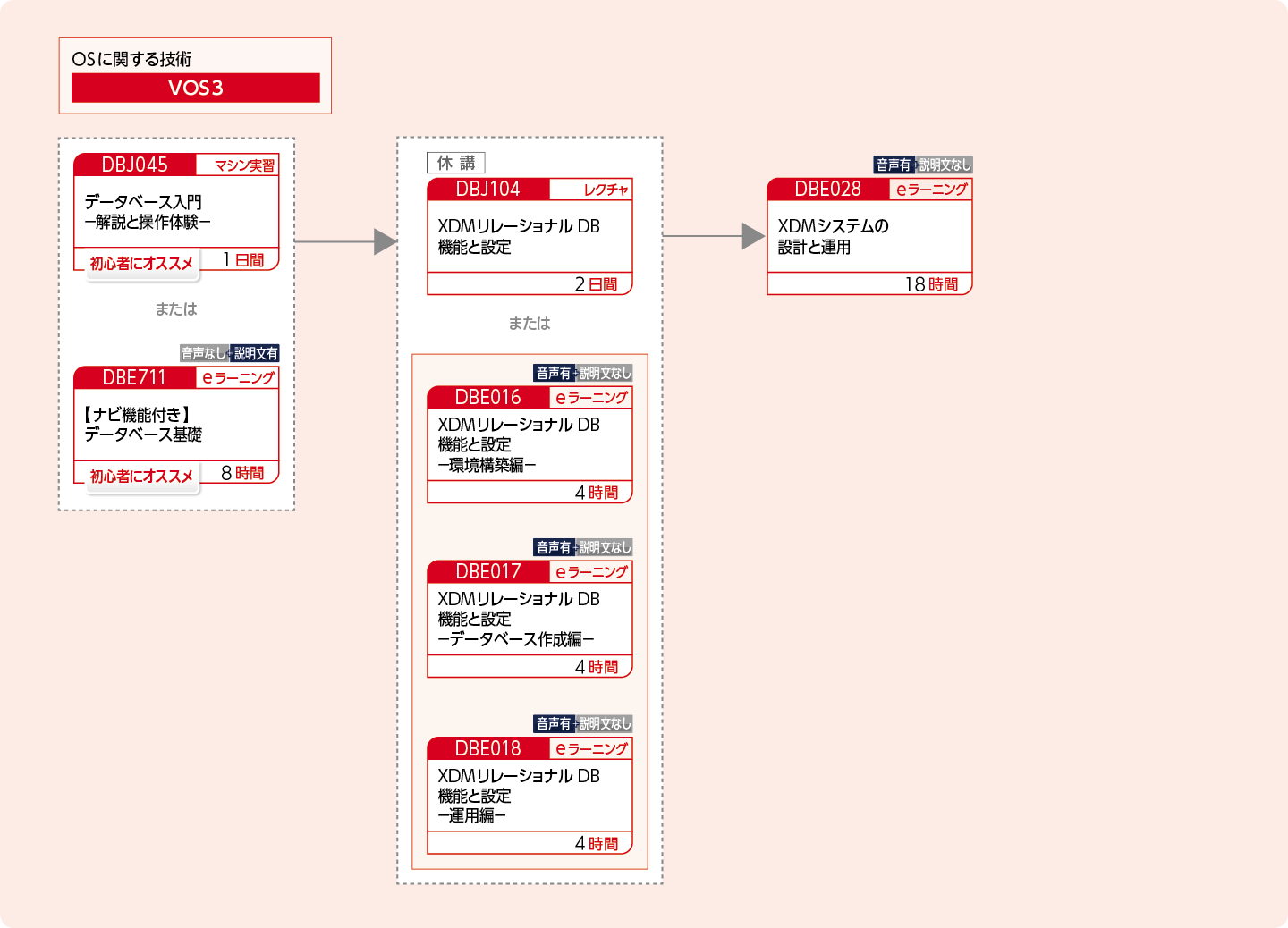 XDMを使用してリレーショナルデータベースを構築・運用・設計する方のコースフロー