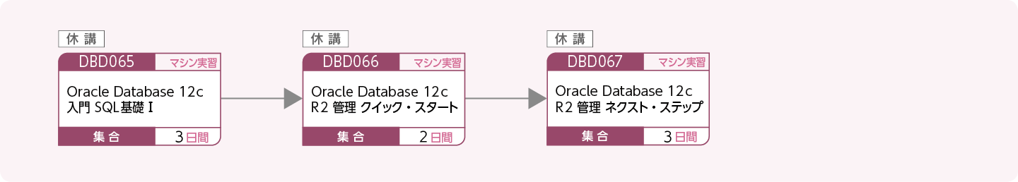 Oracleを使用してデータベースを設計・運用する方