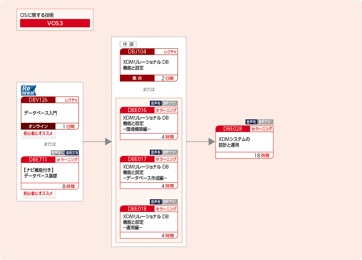 XDMを使用してリレーショナルデータベースを構築・運用・設計する方のコースフロー