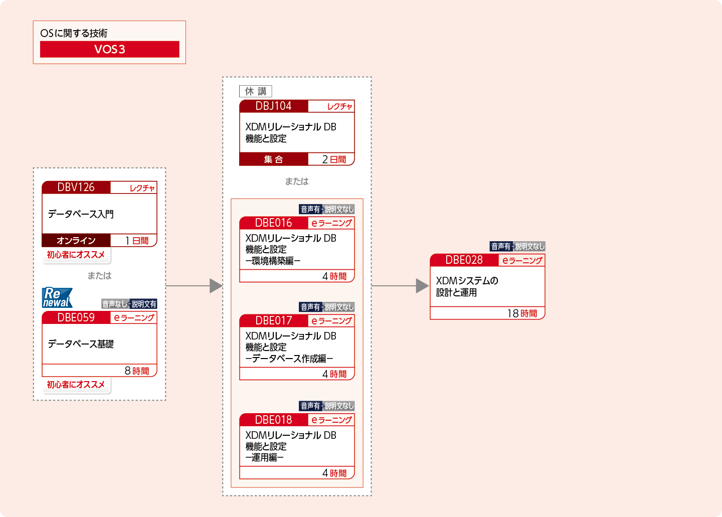 XDMを使用してリレーショナルデータベースを構築・運用・設計する方のコースフロー