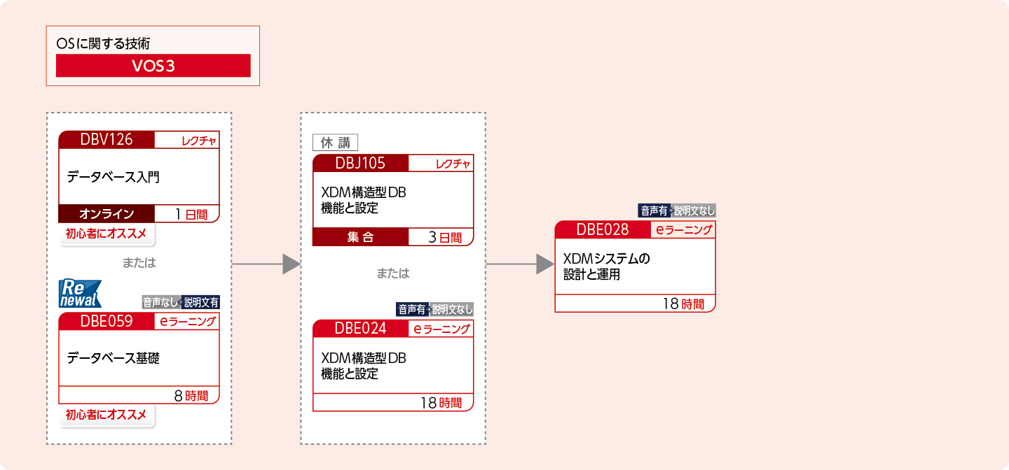 XDMを使用して構造型データベースを構築・運用・設計する方のコースフロー