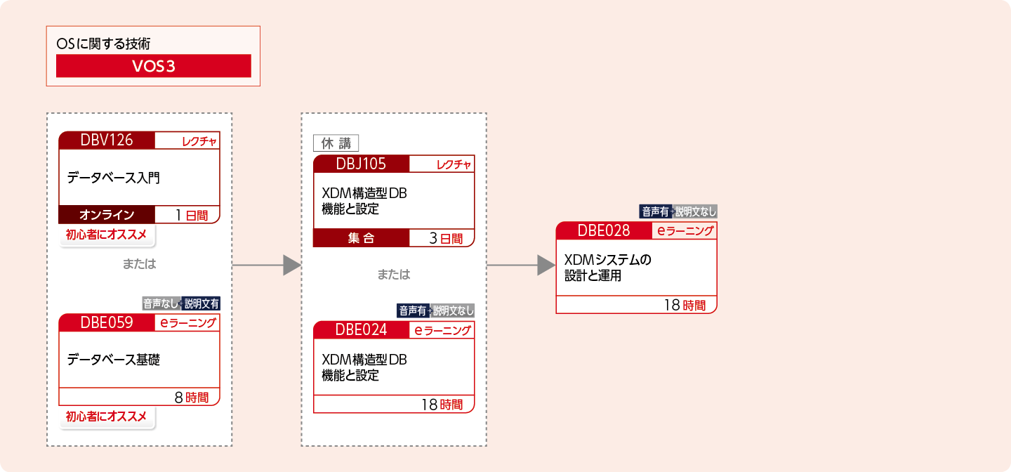 XDMを使用して構造型データベースを構築・運用・設計する方のコースフロー