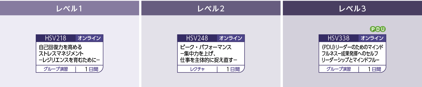 ストレスコントロール力のコースフロー