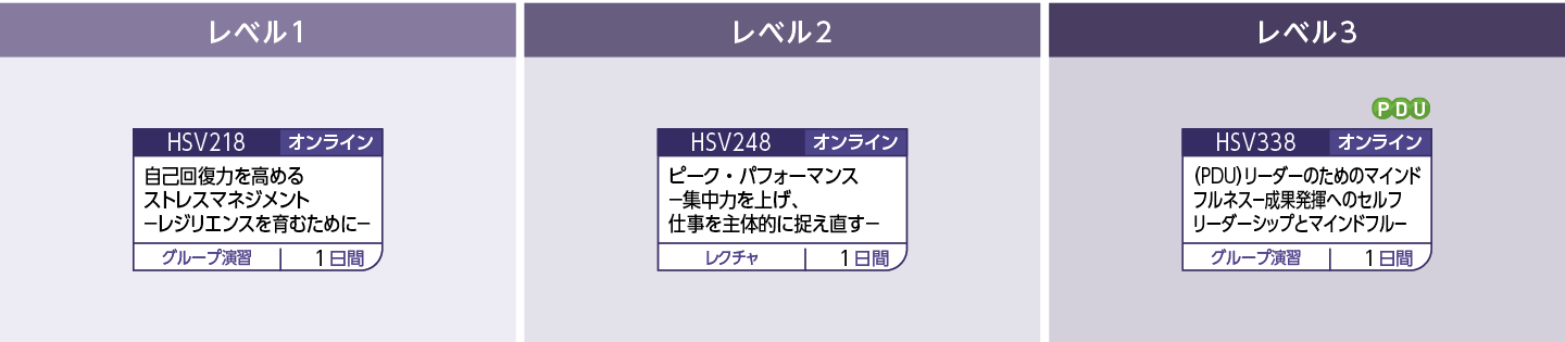 ストレスコントロール力のコースフロー