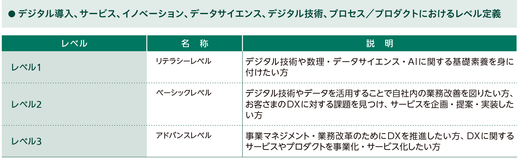 デジタル導入、サービス、イノベーション、データサイエンス、デジタル技術、プロセス／プロダクトにおけるレベル定義