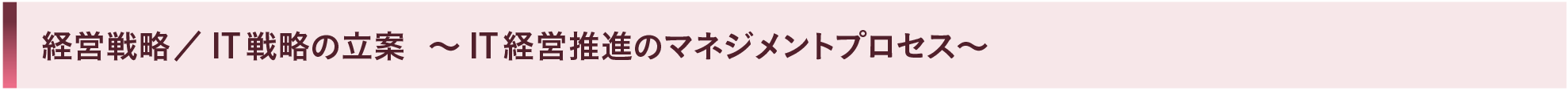 経営戦略／ IT戦略の立案 ～ IT経営推進のマネジメントプロセス～