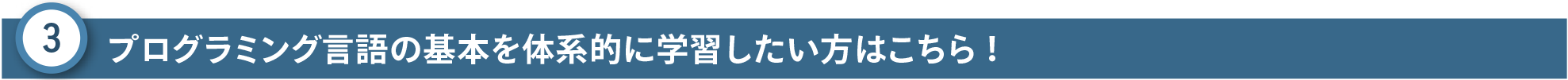 プログラミング言語の基本を体系的に学習したい方はこちら！