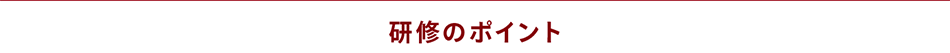 研修のポイント